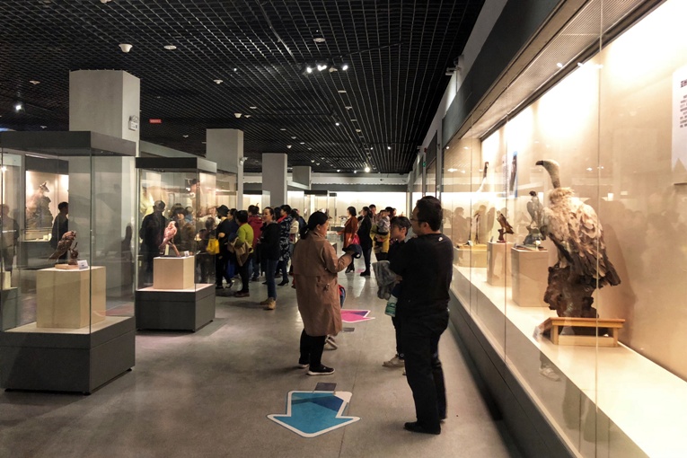 《多彩的生命——中国野生动物展》 在哈密市博物馆展出2x.jpg