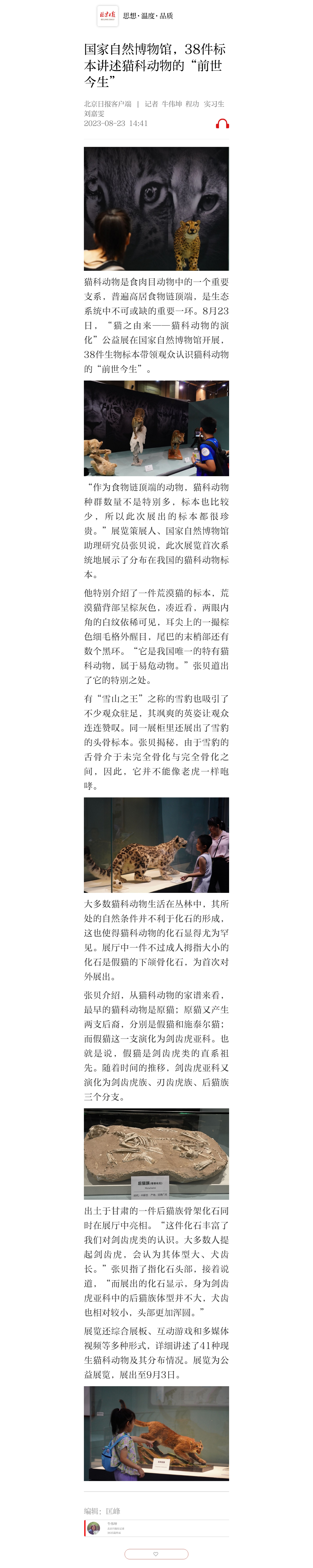 国家自然博物馆，38件标本讲述猫科动物的“前世今生”_北京日报APP新闻.jpg