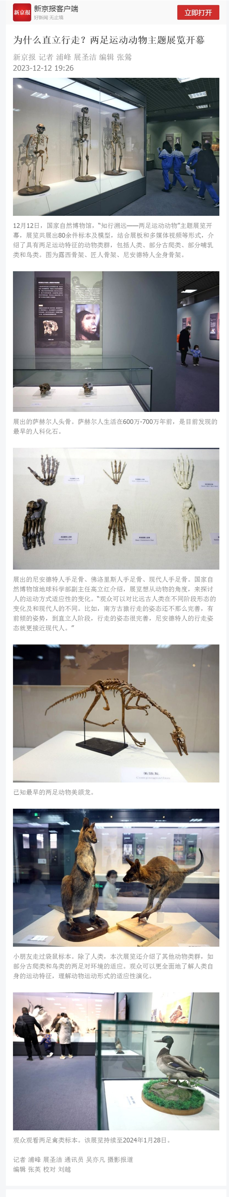为什么直立行走？两足运动动物主题展览开幕.jpg